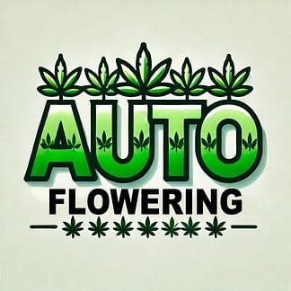 Autoflower - samonakvétací odrůdy konopí